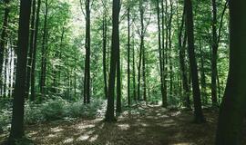 Šeštadienio horoskopas 12-ai zodiako ženklų