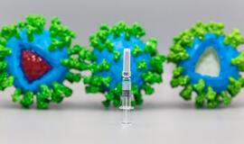 Už vakcinų nuo COVID-19 įsigijimą tiesiogiai atsakingas yra A. Veryga