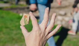 30 patirčių atveria Klaipėdos universiteto veiklų įvairovę