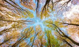 Antradienio horoskopas 12-ai zodiako ženklų