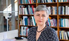 Horizontalės ir vertikalės partijų programose