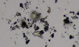 KU mokslininkų studija - proveržis oro taršos tyrimuose