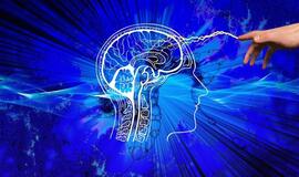 Laikome galvoje! Paprasti būdai sustabdyti smegenų degradaciją