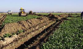 Melioracija – vienas iš valstybės prioritetų