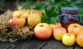 Penktadienio horoskopas 12-ai zodiako ženklų