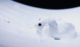 „Debesų lopšinė“: „Kūdikiams neįmanoma sumeluoti“