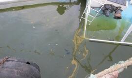 Naktį Dangėje pradėjo skęsti laivas