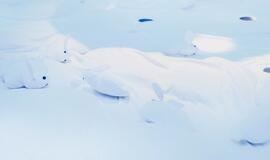 „Debesų lopšinė“: „Kūdikiams neįmanoma sumeluoti“