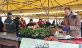 Uostamiesčio mugėse – ir užsienio amatininkų darbai