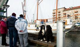 „Meridiano“ išplukdymas