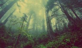 Pirmadienio horoskopas 12-ai zodiako ženklų