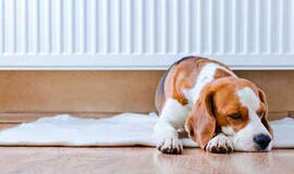 Šaltojo sezono išlaidos gali tapti tikru iššūkiu: finansų ekspertė atskleidė, ką darote ne taip