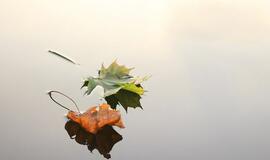 Šeštadienio horoskopas 12-ai zodiako ženklų