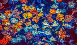 Šeštadienio horoskopas 12-ai zodiako ženklų