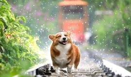 Trečiadienio horoskopas 12-ai zodiako ženklų