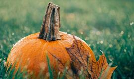 Trečiadienio horoskopas 12-ai zodiako ženklų