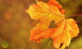 Trečiadienio horoskopas 12-ai zodiako ženklų