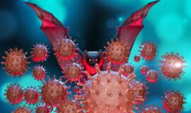 Darys viską, kad išsiaiškintų COVID-19 kilmę