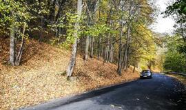 Eismo sąlygos: kelių dangos daugiausiai yra drėgnos