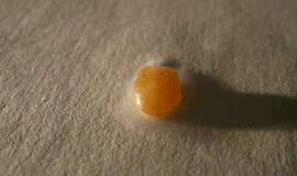 Gintarų rinkimas tik per plauką nesibaigė tragedija