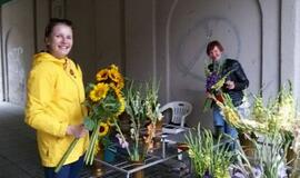 Gyvenimas pro langą: prasideda gimtadieniniai "atlaidai"