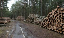 Klaipėdos valdžia gamtą saugo žodžiais, o ne darbais