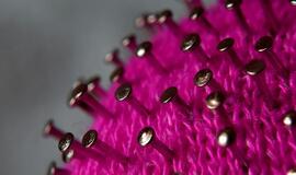 Lietuvoje 895 nauji koronaviruso atvejų