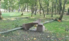 Nukentėjusi skulptūra išvežta remontui