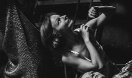 Menininkai prisijaukina Danės elektrinę