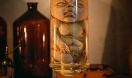 Pakruojo dvare - išskirtinis panoptikumas