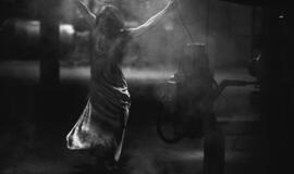 Menininkai prisijaukina Danės elektrinę