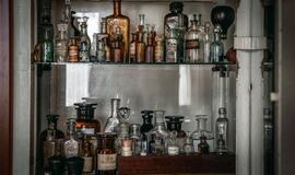 Pakruojo dvare - išskirtinis panoptikumas