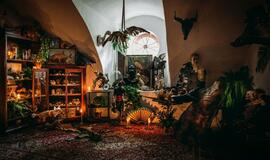 Pakruojo dvare - išskirtinis panoptikumas