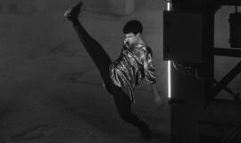 Menininkai prisijaukina Danės elektrinę