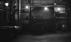 Menininkai prisijaukina Danės elektrinę