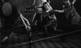 Menininkai prisijaukina Danės elektrinę