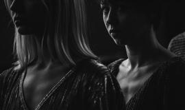 Menininkai prisijaukina Danės elektrinę