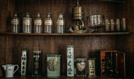 Pakruojo dvare - išskirtinis panoptikumas