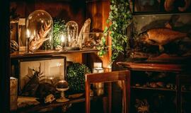 Pakruojo dvare - išskirtinis panoptikumas