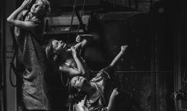 Menininkai prisijaukina Danės elektrinę