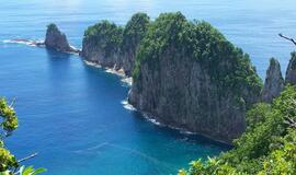 Samoa – pirmasis koronaviruso atvejis