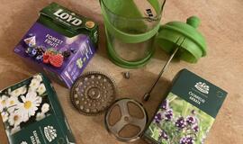 Sergančiojo koronavirusu dienoraštis (11)