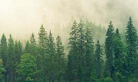 Šeštadienio horoskopas 12-ai zodiako ženklų