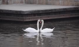 Vandens lygiai yra mažesni nei turėtų būti