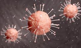 Dar 1773 nauji koronaviruso atvejai