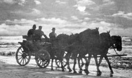 Klaipėdos akvarelės: namai ir žmonės (657)