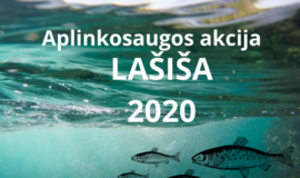 „Lašiša 2020“ rezultatai Vakarų Lietuvoje: 137 reidų metu patikrinti 1242 žvejai