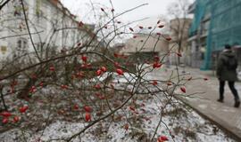 Naktį vietomis gali būti slidu, eismo sąlygas sunkins gūsingas vėjas