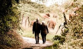 Pensijos 2021 metais – kam, kiek ir kada