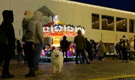 Klaipėdoje įžiebta Kalėdų eglė